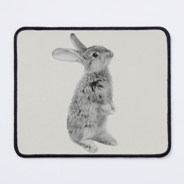 Copy of Rabbit 08 Mauspad