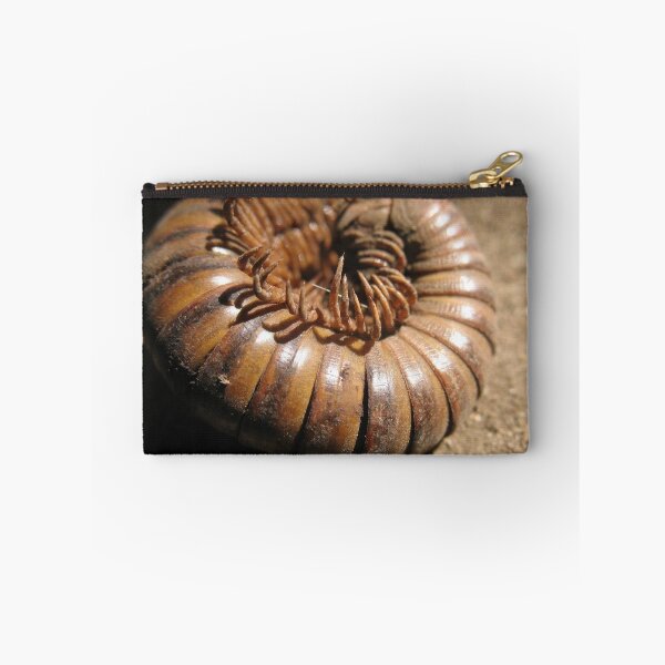 Item preview, Millipede Spiral designed and sold by Amrita Neelakantan.