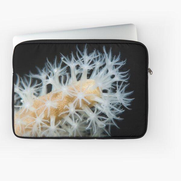 Feeding coral Laptop Sleeve