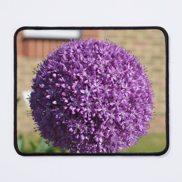 Item preview, Allium designed and sold by LMShankland.