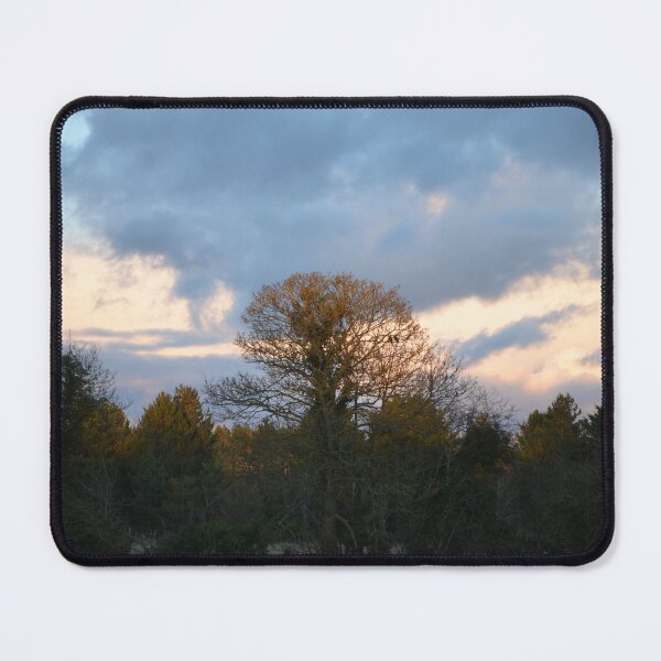 Item preview, Lone Tree designed and sold by LMShankland.