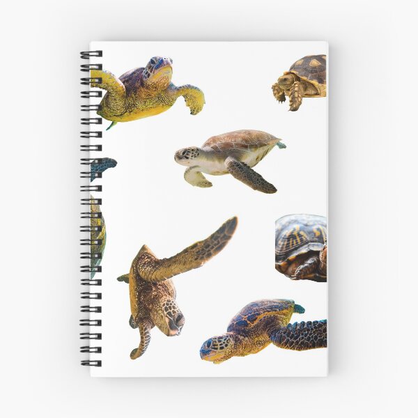 Item preview, First Angry Turtles Stickers Bundle. Turtles Lover Essential Package. Cute, Adorable, and Funny Turtles. Not Ninja Though. Sea Turtle, Regular Turtle, Everything! - Essential designed and sold by AnimalStickers-.