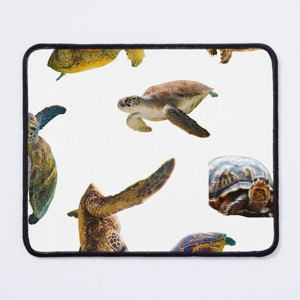 Item preview, First Angry Turtles Stickers Bundle. Turtles Lover Essential Package. Cute, Adorable, and Funny Turtles. Not Ninja Though. Sea Turtle, Regular Turtle, Everything! - Essential designed and sold by AnimalStickers-.