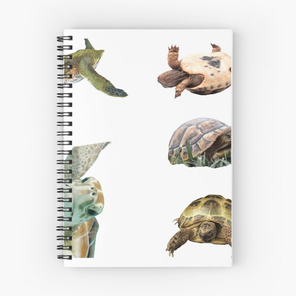 Item preview, Second Angry Turtles Stickers Bundle. Turtles Lover Essential Package. Cute, Adorable, and Funny Turtles. Not Ninja Though. Sea Turtle, Regular Turtle, Everything! - Essential designed and sold by AnimalStickers-.