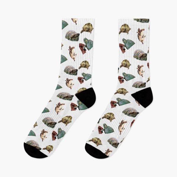 Item preview, Second Confused Turtles Stickers Bundle. Turtles Lover Essential Package. Cute, Adorable, and Funny Turtles. Not Ninja Though. Sea Turtle, Regular Turtle, Everything! - Essential designed and sold by AnimalStickers-.