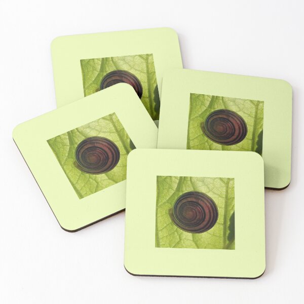 Item preview, Snail on a leaf designed and sold by Marju Rose.