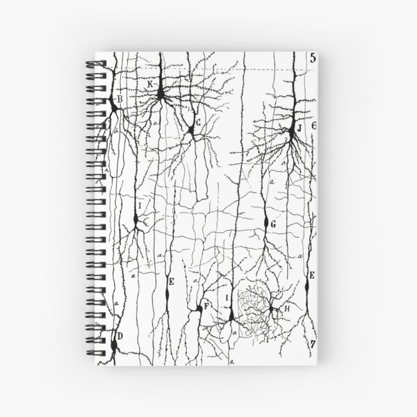 Item preview, Drawing of Nerve Cells by  Santiago Ramón y Cajal  designed and sold by ScienceSource.