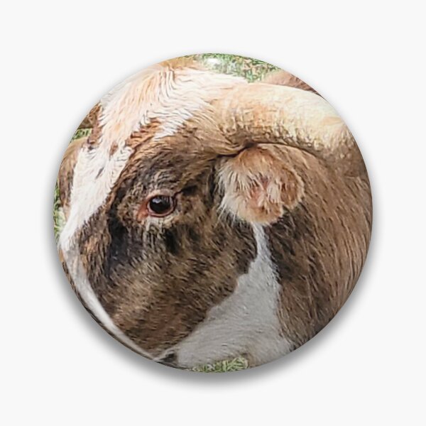 Artikelvorschau, Lady Longhorn ... die Denkerin! entworfen und verkauft von jhens3.