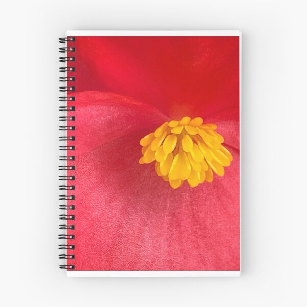 Item preview, Begonia Close-up designed and sold by SusanneFerrante.