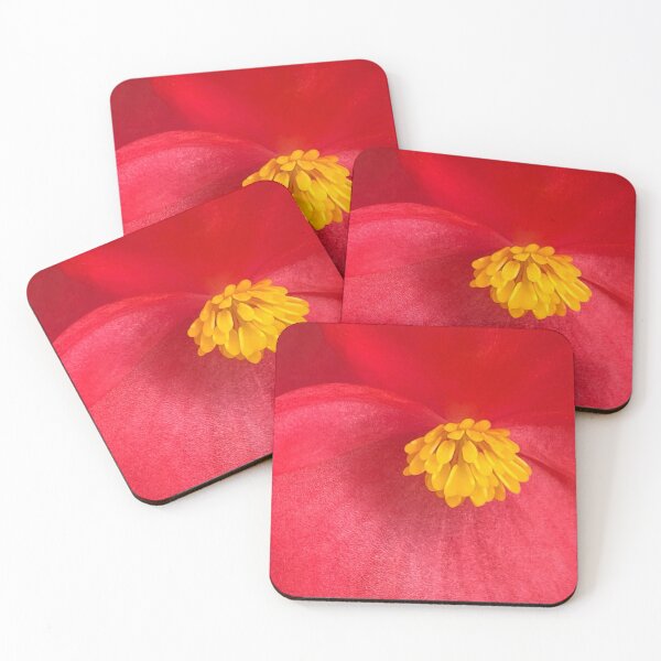 Item preview, Begonia Close-up designed and sold by SusanneFerrante.