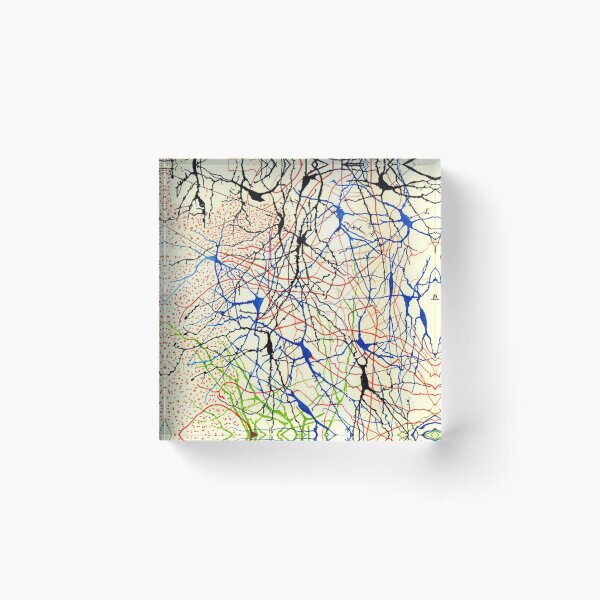 Item preview, Santiago Ramón y Cajal Nerve Cells designed and sold by ScienceSource.