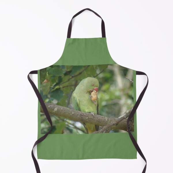 Item preview, Ring Necked Parakeet Pecking a Peanut Photograph designed and sold by naturegallery.