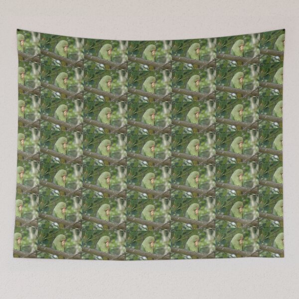 Item preview, Ring Necked Parakeet Pecking a Peanut Photograph designed and sold by naturegallery.