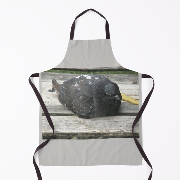 Item preview, Pigeon Relaxing on a Park Bench Photograph designed and sold by naturegallery.