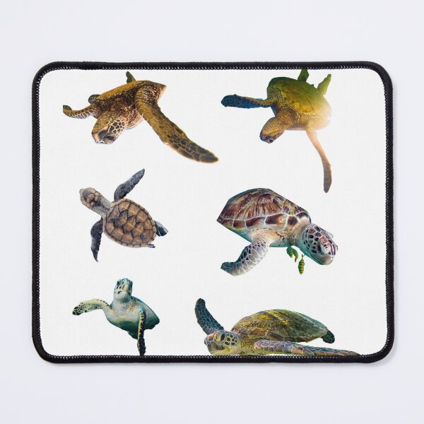 Item preview, Second Sea Turtles Stickers Bundle. Turtles Lover Essential Package. Cute, Adorable, and Funny Turtles. Not Ninja Though. Sea Turtle, Regular Turtle, Everything! - Essential designed and sold by AnimalStickers-.