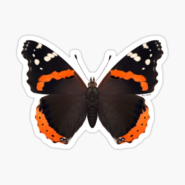 Red Admiral Butterfly Painting Sticker