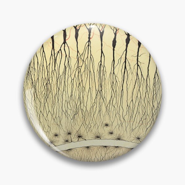 Item preview, Drawing of Hippocampus by Cajal designed and sold by ScienceSource.