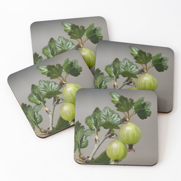 Item preview, Gooseberries designed and sold by Calidris Fotografie Steffi & Ben Köppler.