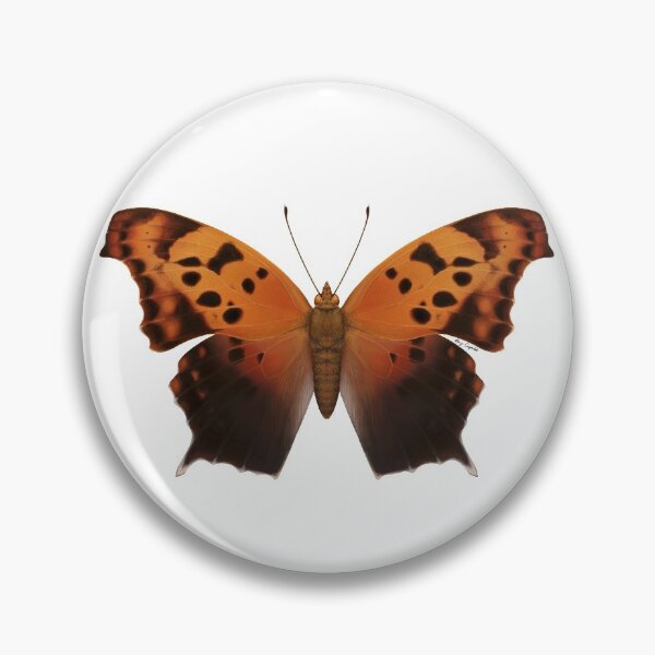 Item preview, Question Mark Butterfly Painting designed and sold by M. "Moth Monarch" Capaldi.