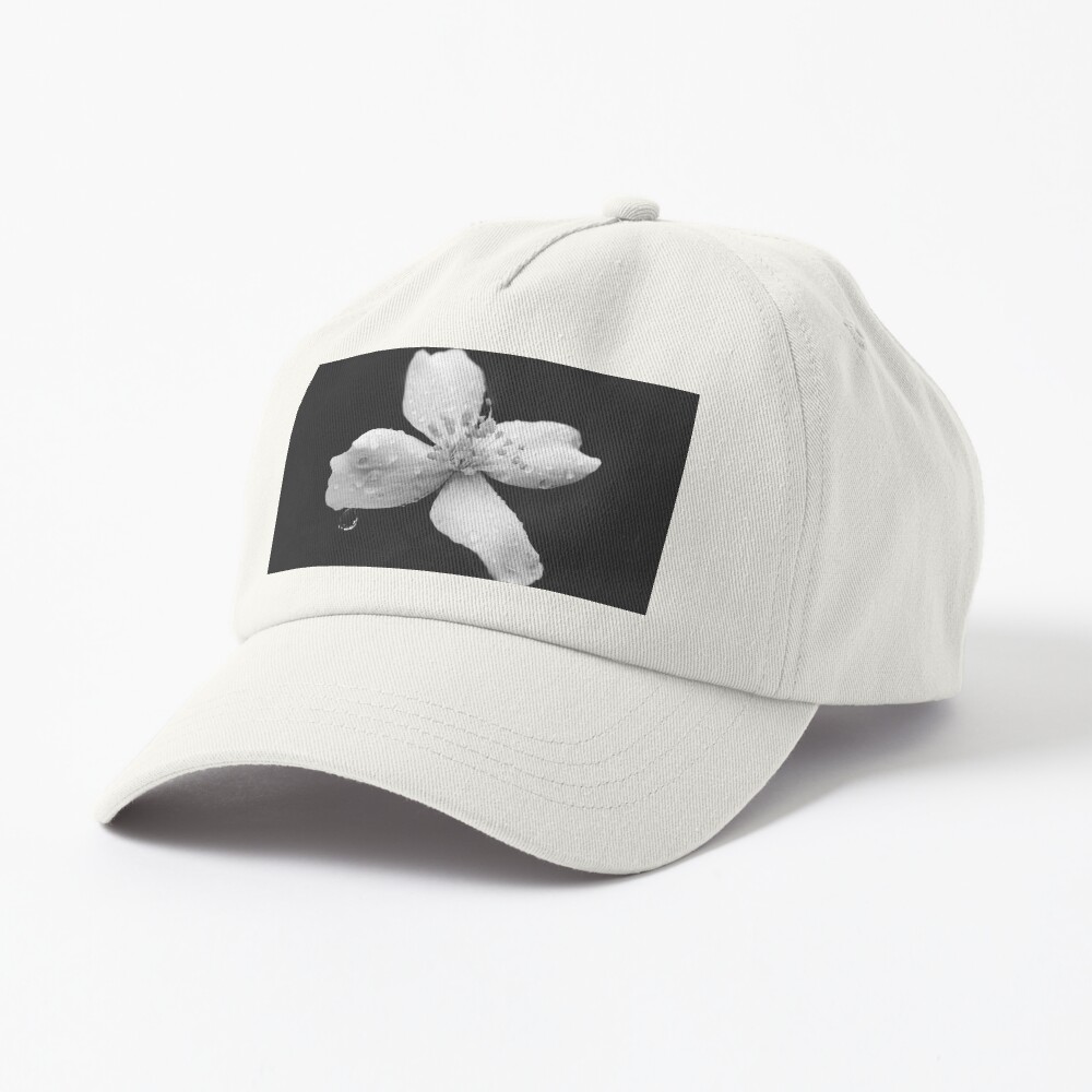 Black and white nature blossom flower close-up Cap