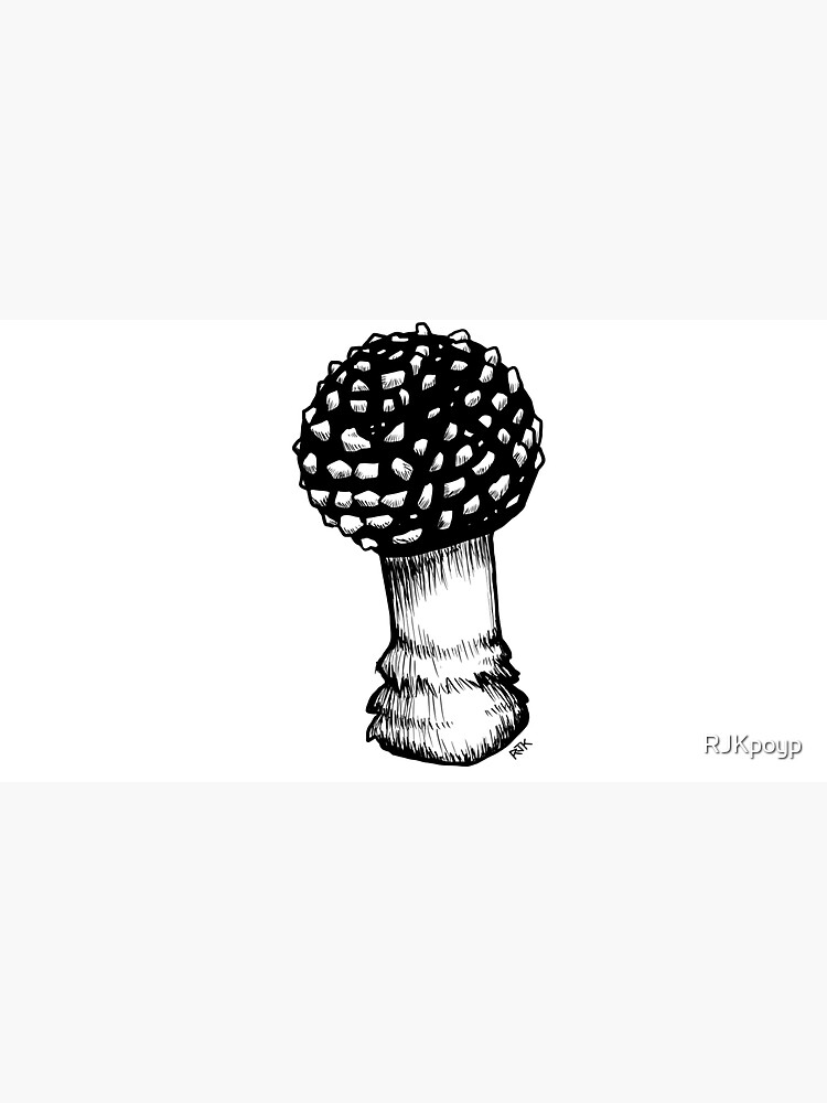 Amanita Regalis, the King of Sweden Amanita by RJKpoyp