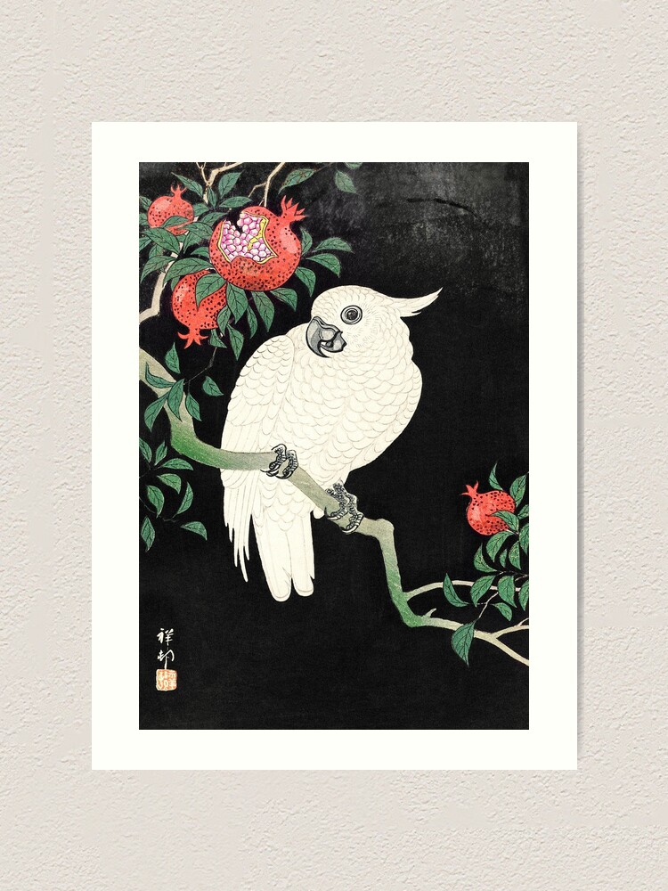 Alternate view of Cockatoo and Pomegranate (1877–1945) - Ohara Koson Art Print
