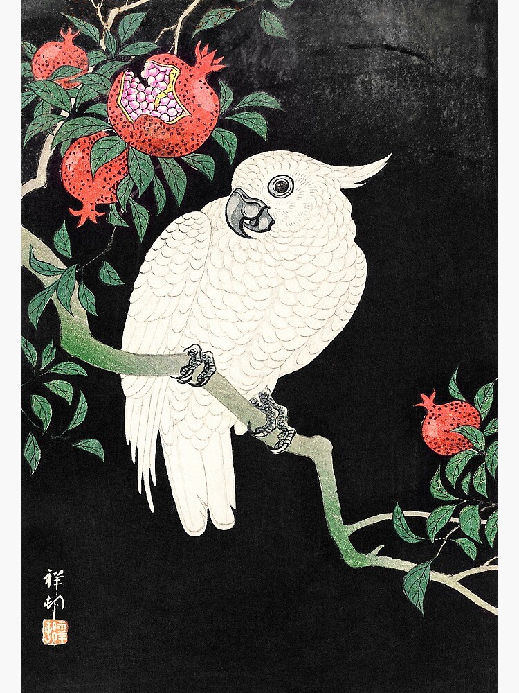 Cockatoo and Pomegranate (1877–1945) - Ohara Koson by chamomile-cafe