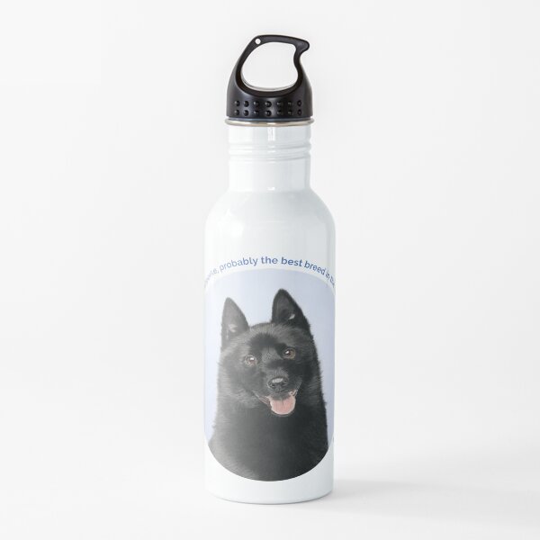 Schipperke portrait Water Bottle