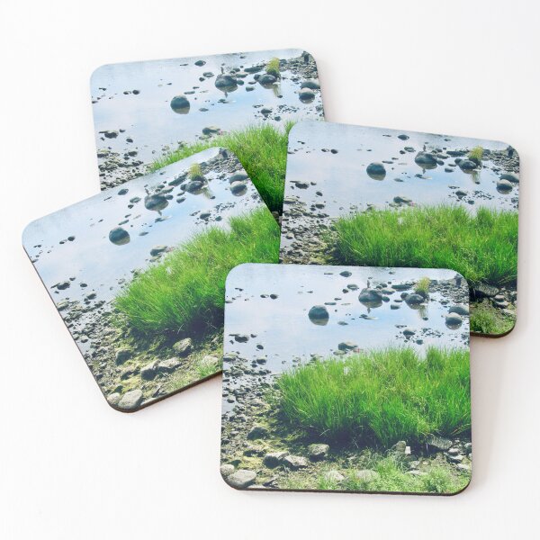 Item preview, Grass growing on the mud designed and sold by Shulie1.