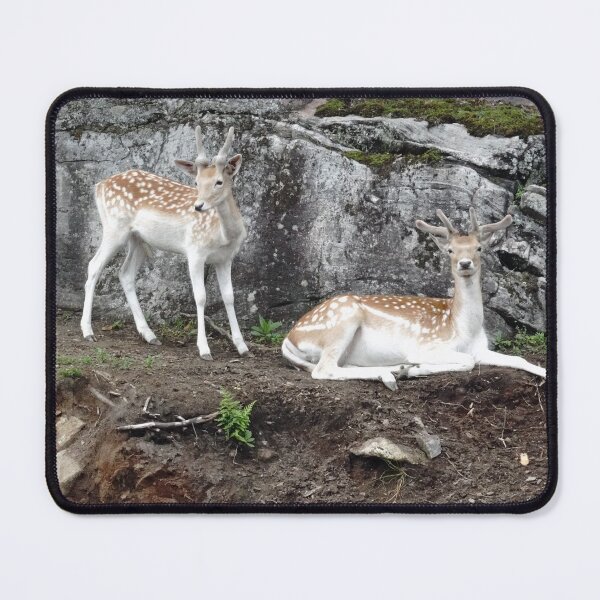 Item preview, Two fallow deer in Quebec, Canada designed and sold by cuisinecat2.