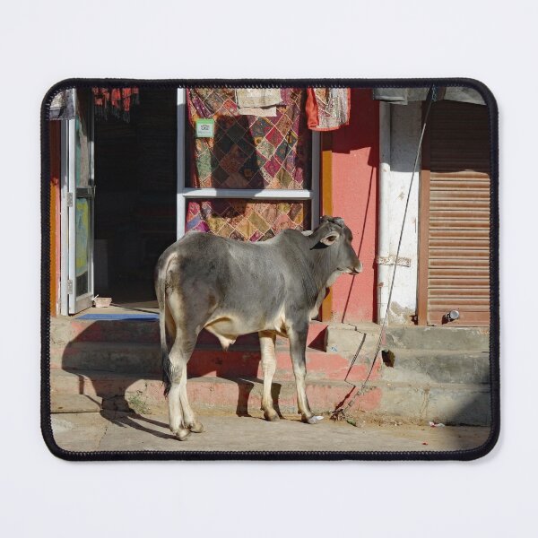 Item preview, Cow outside a shop in Mandawa in Rajasthan India designed and sold by cuisinecat2.