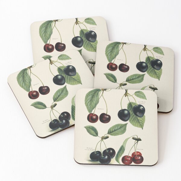 Item preview, Vintage illustration of cherry - digitally enhanced-  The Fruit Grower's Guide designed and sold by SunnyAlloy.