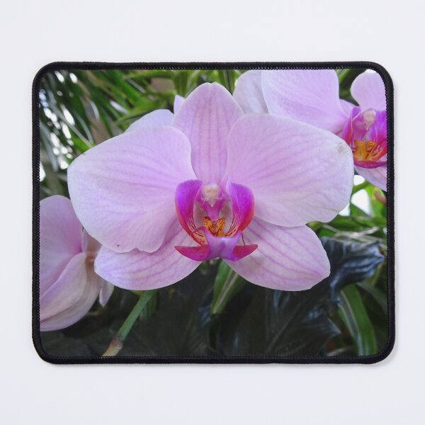 Item preview, Beautiful pink and purple orchids designed and sold by cuisinecat2.