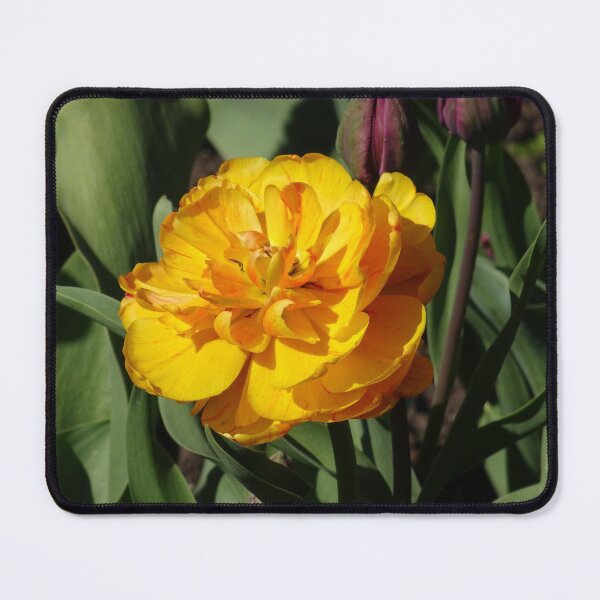 Item preview, Unusual yellow tulip designed and sold by cuisinecat2.
