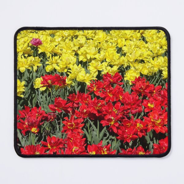 Item preview, red and yellow tulips designed and sold by cuisinecat2.