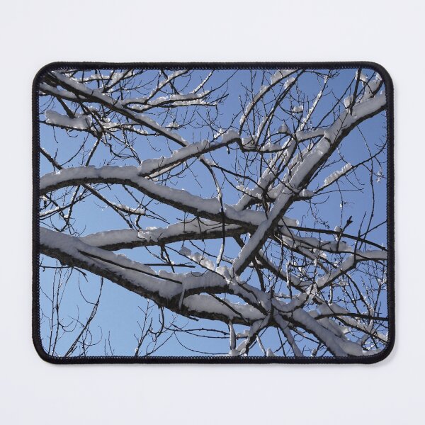 Item preview, Snow laden branches in winter against a blue sky  designed and sold by cuisinecat2.
