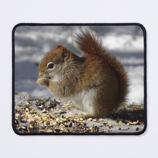 Item preview, Cute tiny red squirrel with some nutty nibbles designed and sold by cuisinecat2.