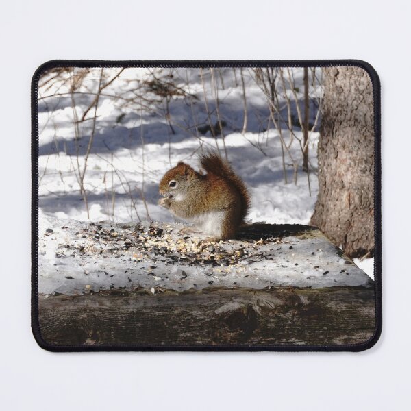 Item preview, Tiny red squirrel eating seeds on a snowy woodland trail  designed and sold by cuisinecat2.