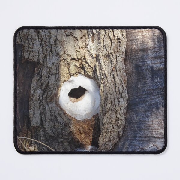 Item preview, Hole Sweet Home designed and sold by cuisinecat2.