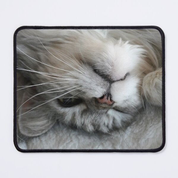 Item preview, maine coon cat on a fluffy blanket designed and sold by cuisinecat2.