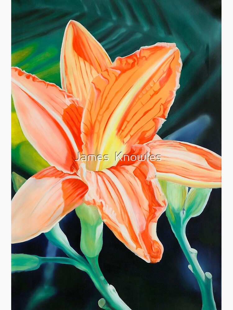 Thumbnail 2 of 2, Art Board Print, "King for a Day" - orange day lily designed and sold by jknowles.