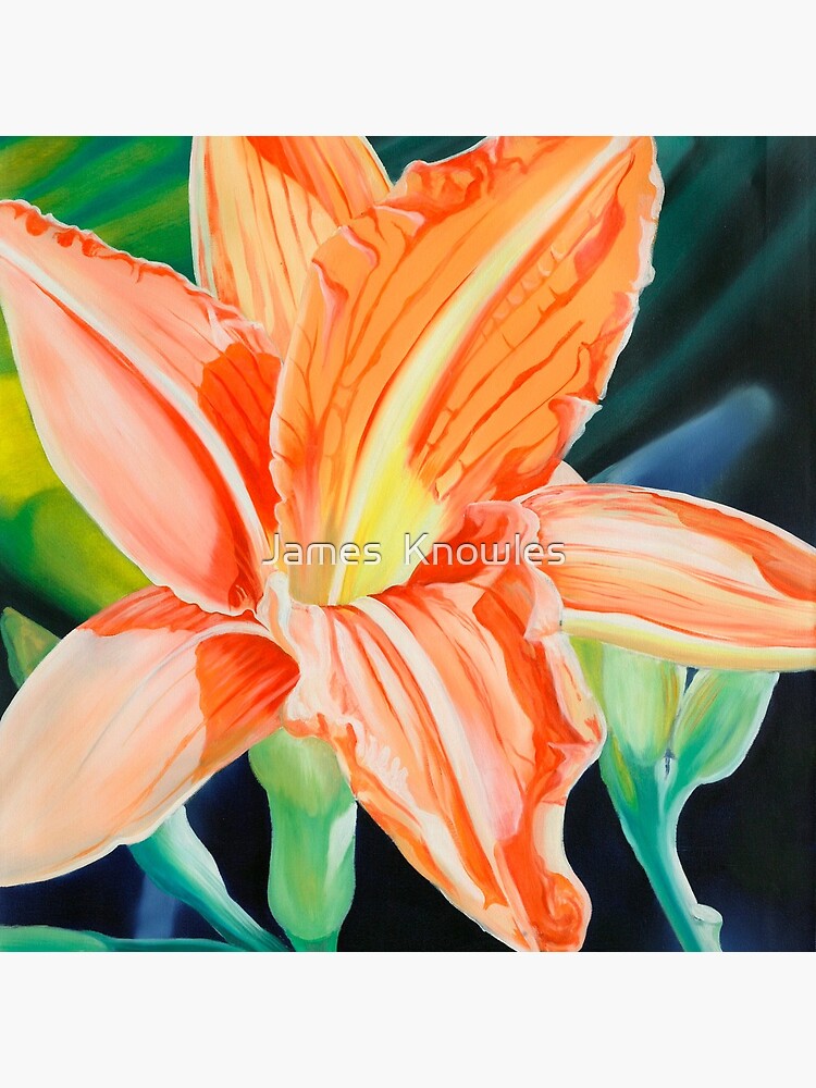 Thumbnail 5 of 5, Coasters (Set of 4), "King for a Day" - orange day lily designed and sold by jknowles.