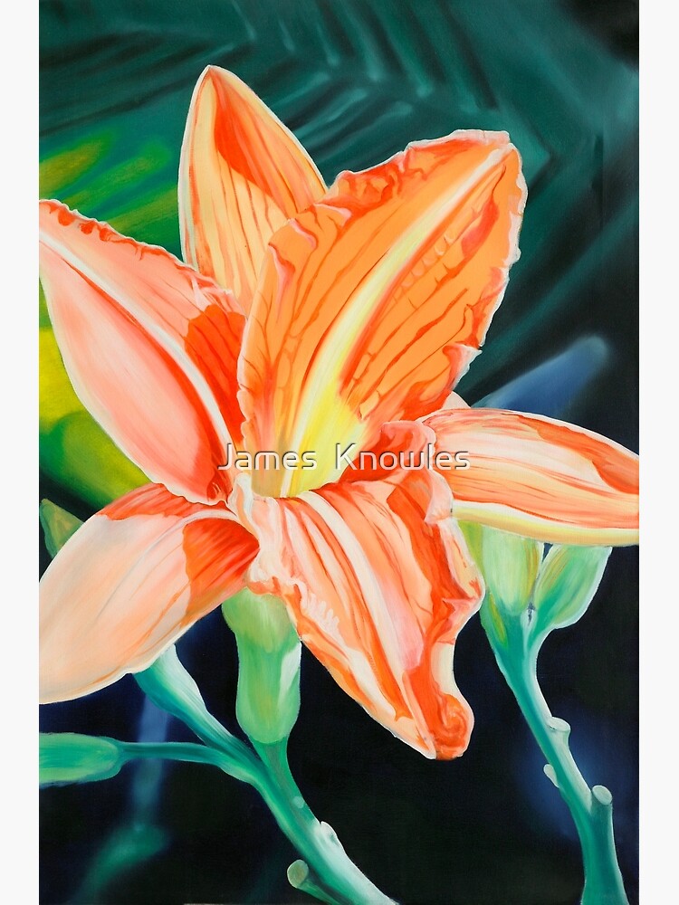 Thumbnail 7 of 7, Framed Art Print, "King for a Day" - orange day lily designed and sold by jknowles.