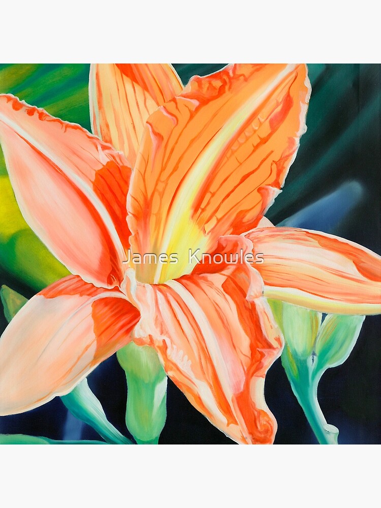 Thumbnail 4 of 4, Pillow, "King for a Day" - orange day lily designed and sold by jknowles.