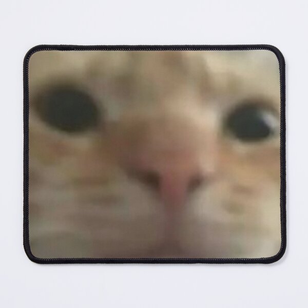 Item preview, Cat looking meme designed and sold by xoxoStore.