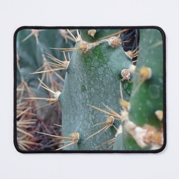 Item preview, prickly pear nopales cactus designed and sold by cuisinecat2.
