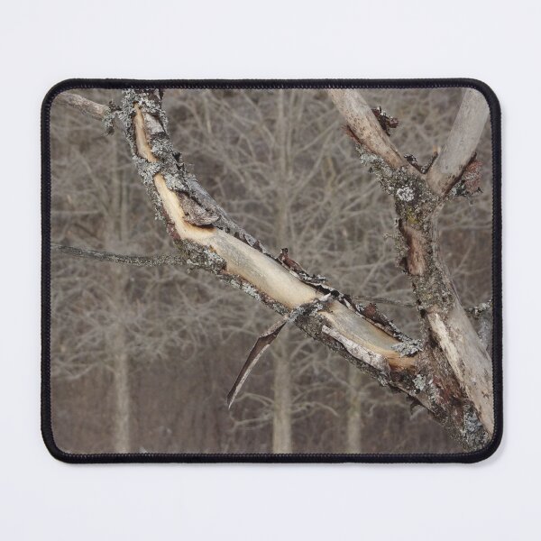 Item preview, winter trees designed and sold by cuisinecat2.