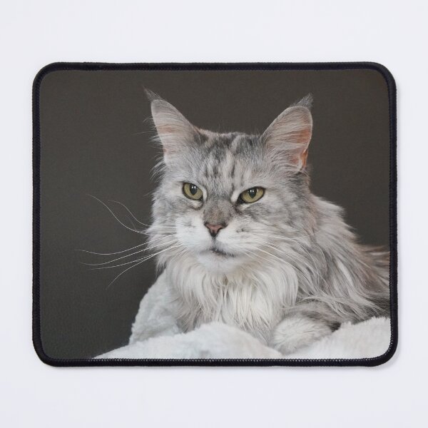 Item preview, pretty maine coon cat designed and sold by cuisinecat2.