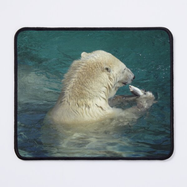 Item preview, Polar bear fish dinner designed and sold by cuisinecat2.
