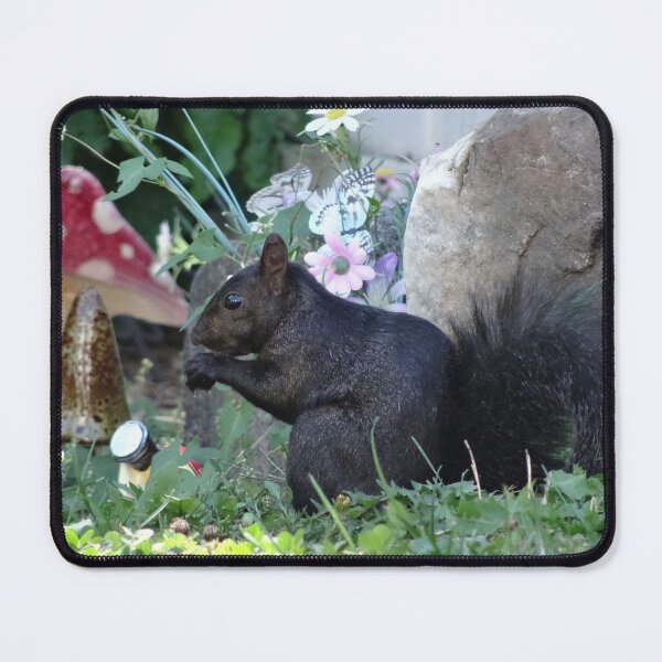 Item preview, Black Beauty squirrel designed and sold by cuisinecat2.